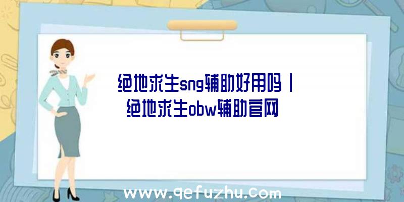 「绝地求生sng辅助好用吗」|绝地求生obw辅助官网